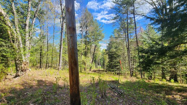 0 Linden Way, Chester, VT 05143
