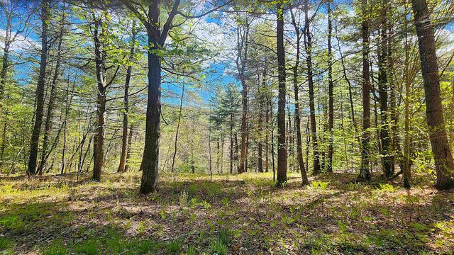 0 Linden Way, Chester, VT 05143