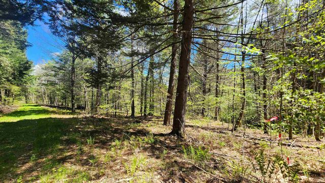 0 Linden Way, Chester, VT 05143