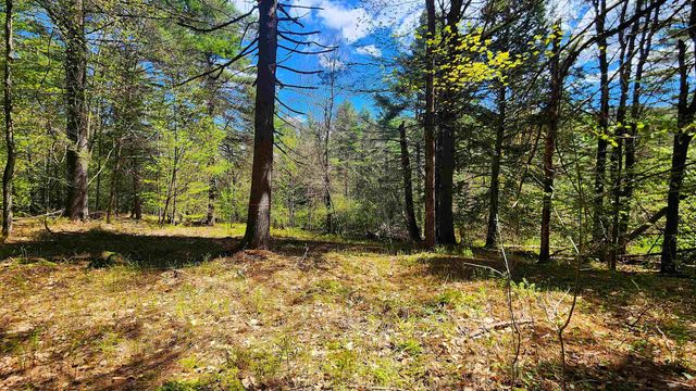 0 Linden Way, Chester, VT 05143