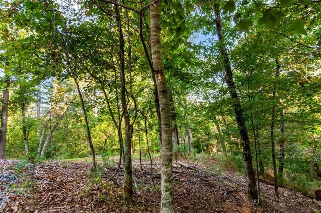 LT 207 PARODY CIRCLE, Ellijay, GA 30540
