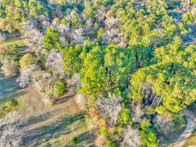 171 Pine Shadow Street, Coldspring, TX 77331