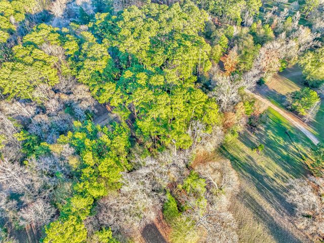 171 Pine Shadow Street, Coldspring, TX 77331