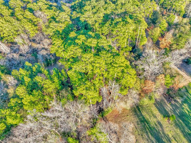 171 Pine Shadow Street, Coldspring, TX 77331