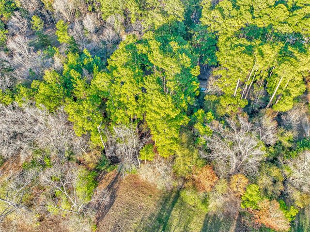 171 Pine Shadow Street, Coldspring, TX 77331