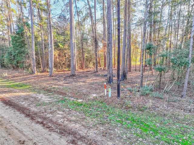 171 Pine Shadow Street, Coldspring, TX 77331