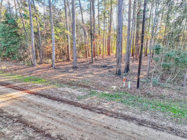 171 Pine Shadow Street, Coldspring, TX 77331
