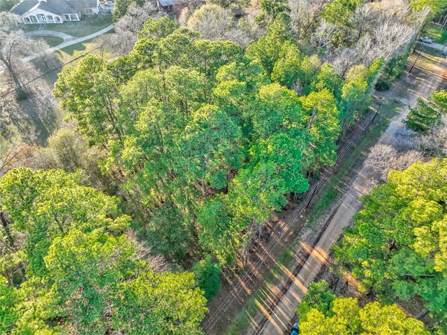 171 Pine Shadow Street, Coldspring, TX 77331
