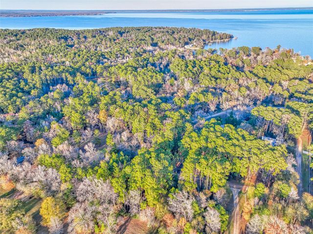 171 Pine Shadow Street, Coldspring, TX 77331