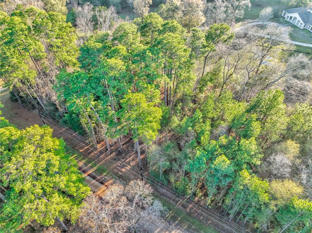 171 Pine Shadow Street, Coldspring, TX 77331