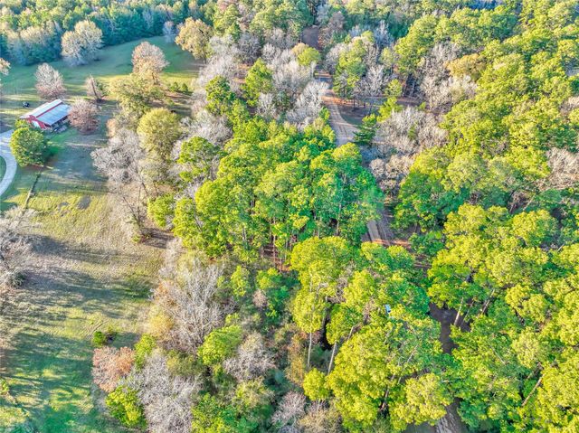 171 Pine Shadow Street, Coldspring, TX 77331
