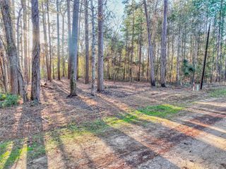 171 Pine Shadow Street, Coldspring, TX 77331