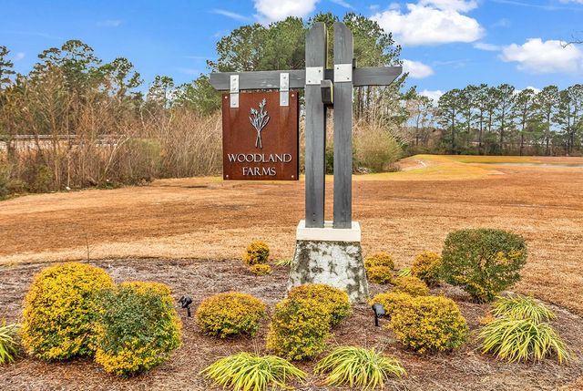 315 Woodcross Court, Conway, SC 29526