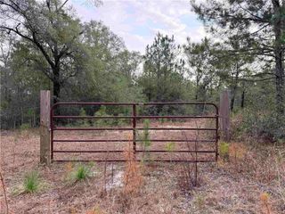 9325 Georgetown Hills Road, Wilmer, AL 36587