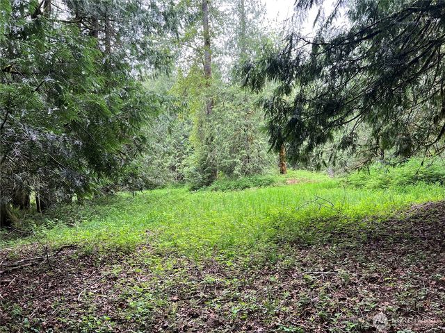 1 xxxx SE 51st Street, Preston, WA 98050
