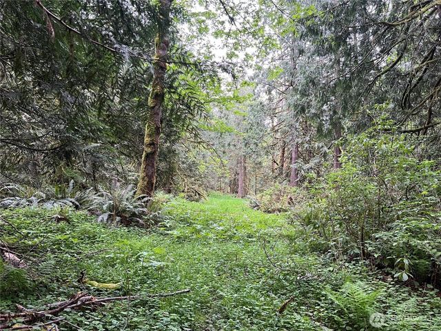 1 xxxx SE 51st Street, Preston, WA 98050