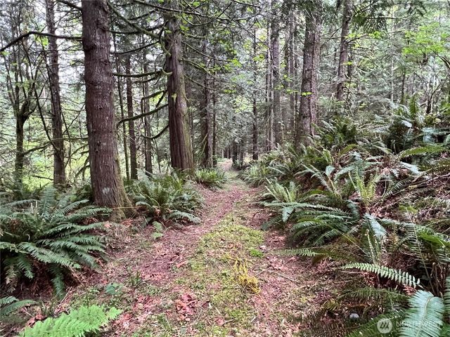 1 xxxx SE 51st Street, Preston, WA 98050