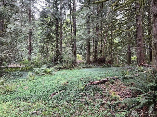 1 xxxx SE 51st Street, Preston, WA 98050