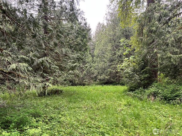 1 xxxx SE 51st Street, Preston, WA 98050
