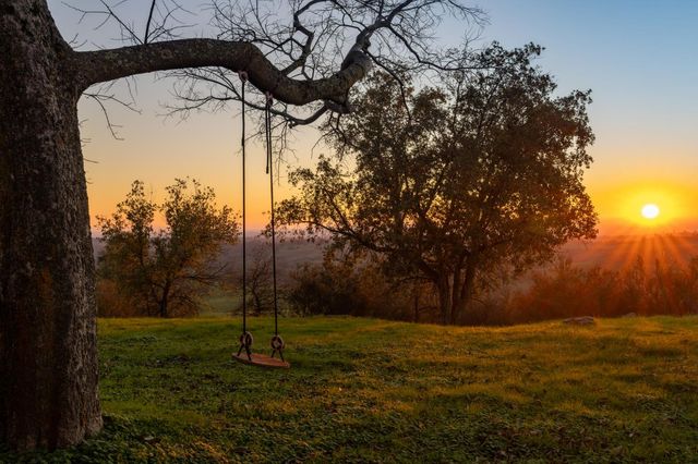 14899 Patton Rd, Plymouth, CA 95669