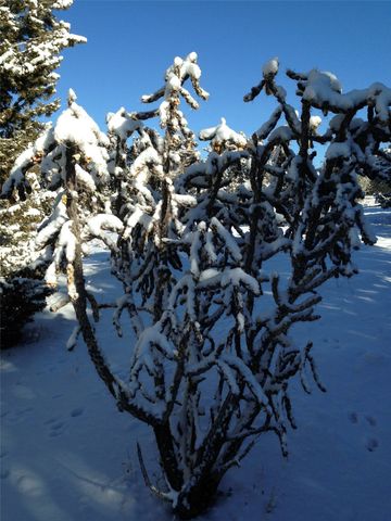 140 Cerrito De Baca, Ojo Caliente, NM 87549