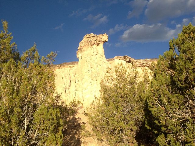 140 Cerrito De Baca, Ojo Caliente, NM 87549