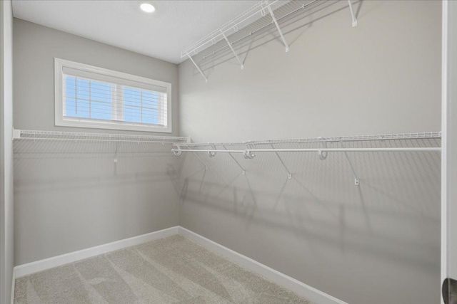 6023 Inskip Avenue S, Cottage Grove, MN 55016