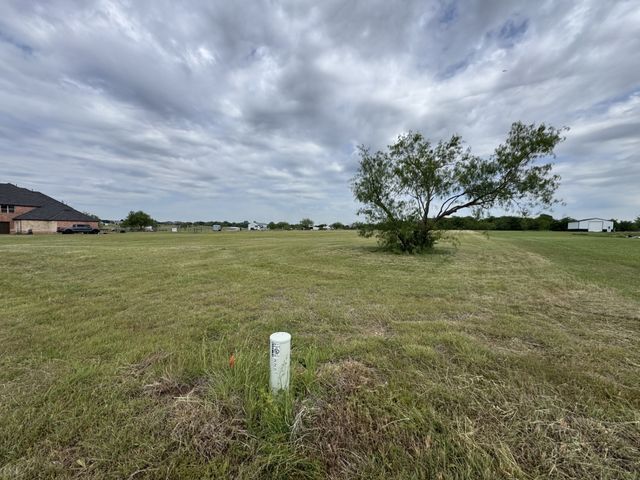 220 Martingale Drive, Oak Point, TX 75068