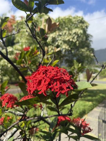 41-1025 Nenue Street, Waimanalo, HI 96795
