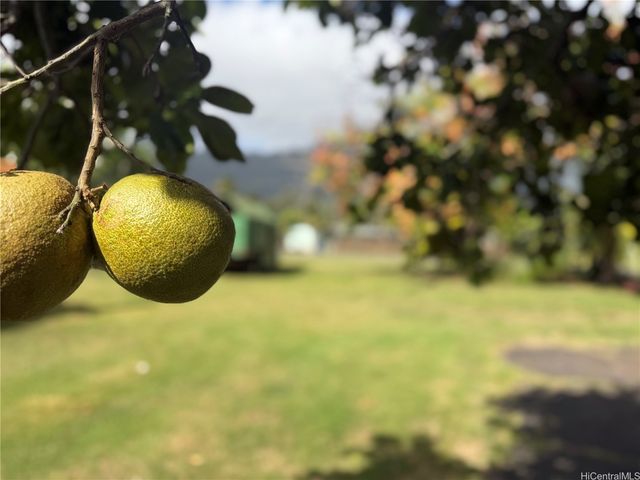 41-1025 Nenue Street, Waimanalo, HI 96795
