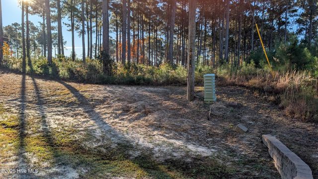 216 Alderman Landing Road, Holly Ridge, NC 28445