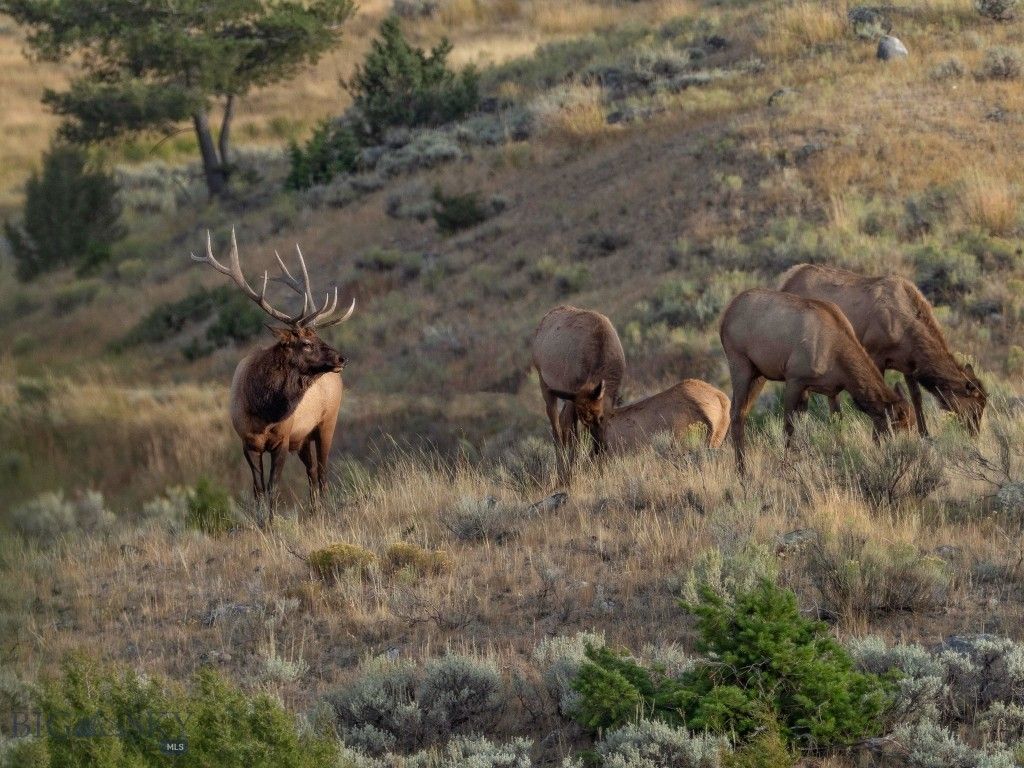 94 Sky Band Trail, Livingston, MT 59047 photo 17