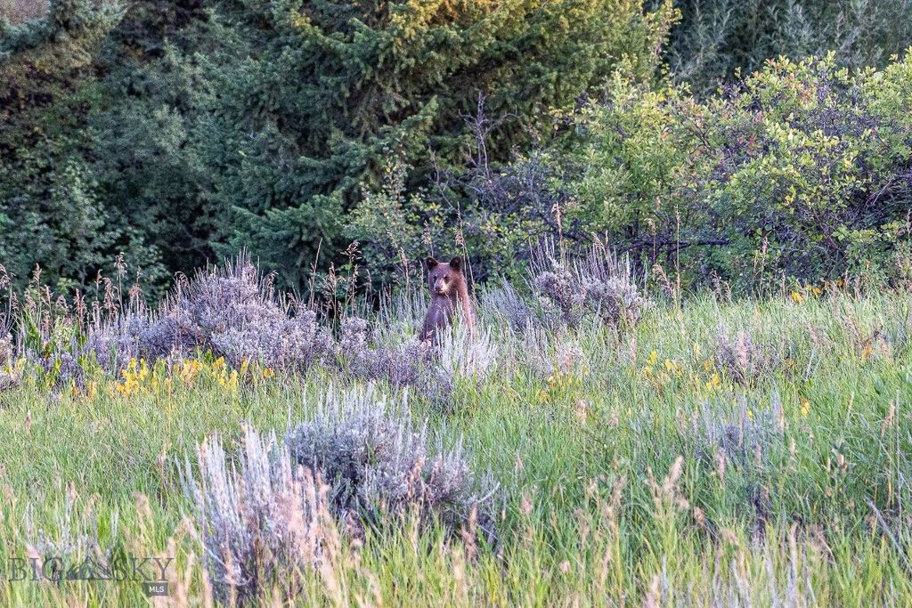 94 Sky Band Trail, Livingston, MT 59047 photo 58