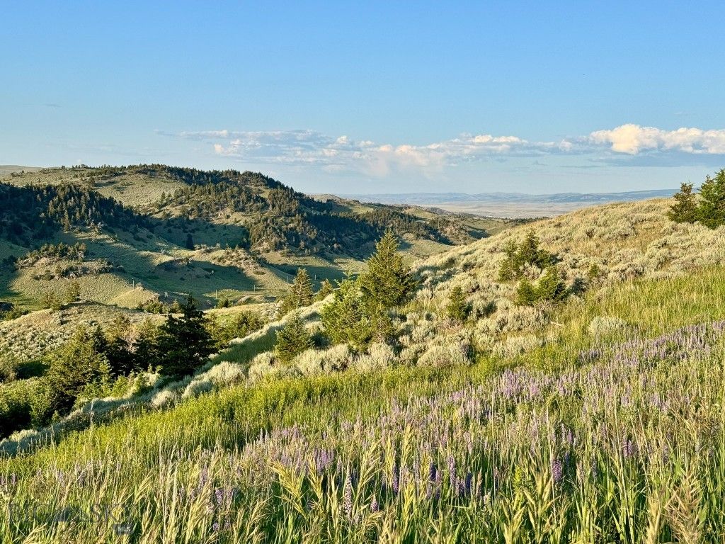 94 Sky Band Trail, Livingston, MT 59047 photo 67