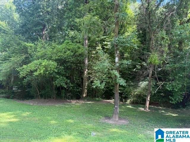 1727 WINDSOR BOULEVARD, Homewood, AL 35209