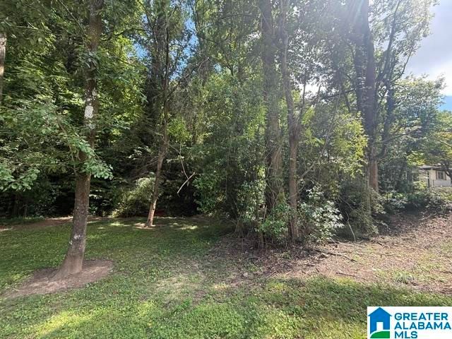 1727 WINDSOR BOULEVARD, Homewood, AL 35209