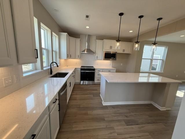 19655 Hunters Ridge, Corcoran, MN 55374