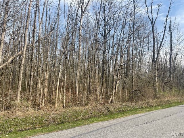 Lewis Point Road, Lenox, NY 13032