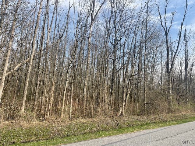 Lewis Point Road, Lenox, NY 13032