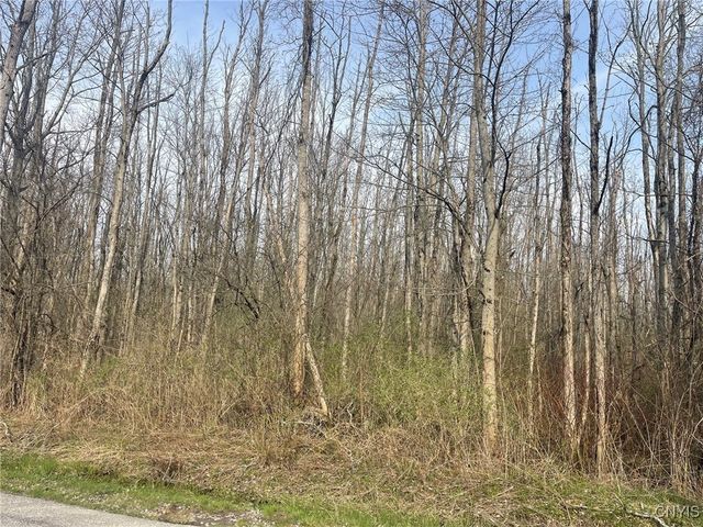 Lewis Point Road, Lenox, NY 13032