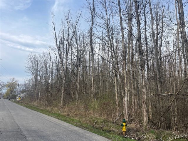 Lewis Point Road, Lenox, NY 13032