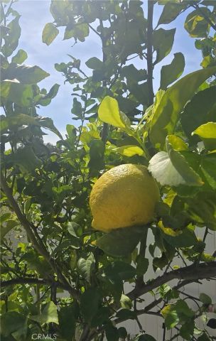 761 Ocean View, Fullerton, CA 92832