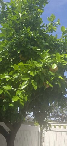 761 Ocean View, Fullerton, CA 92832