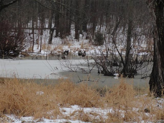 3396 E Baldwin Road, Grand Blanc, MI 48439