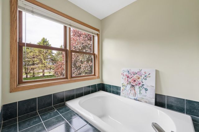 3946 Monticello Alcove, Woodbury, MN 55129