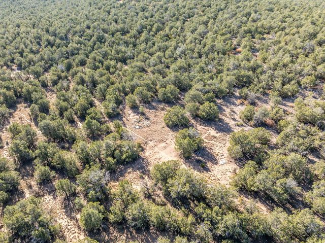 44 Orion View Trail, Edgewood, NM 87015