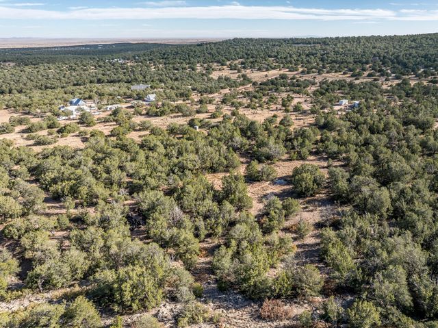 44 Orion View Trail, Edgewood, NM 87015