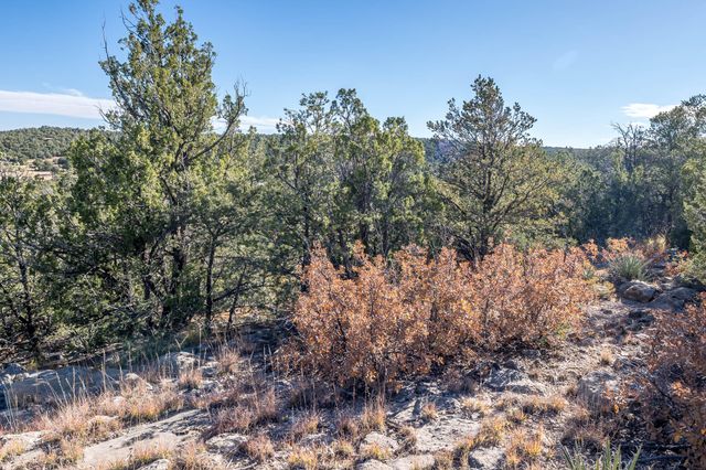 44 Orion View Trail, Edgewood, NM 87015