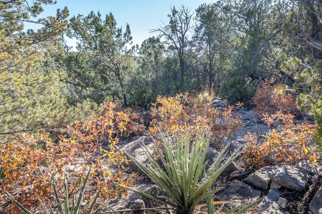 44 Orion View Trail, Edgewood, NM 87015