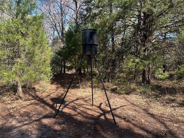 160 Cr 770, Buffalo, TX 75838